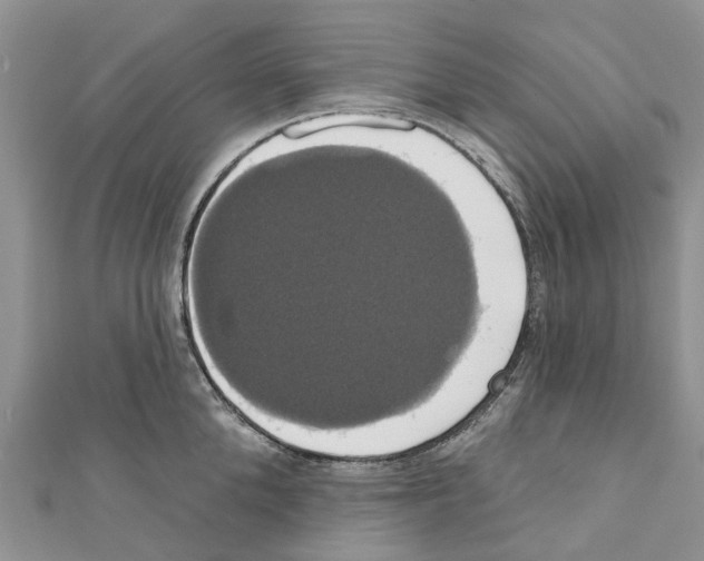 X0000110700904200907241122