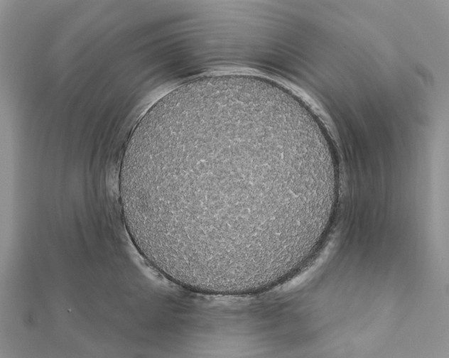 X0000110700905200907241122