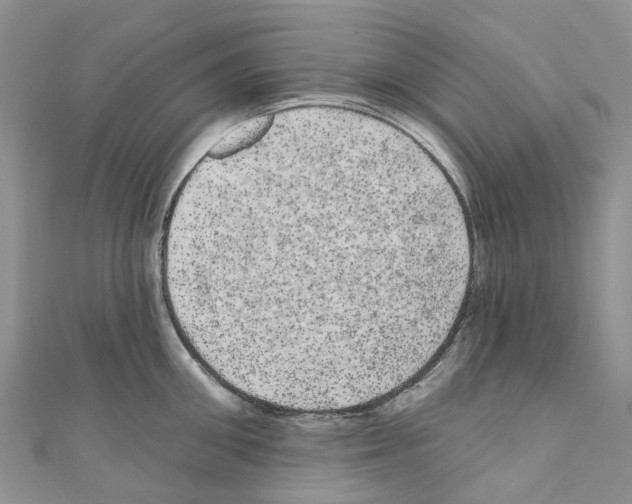 X0000110700906200907241122