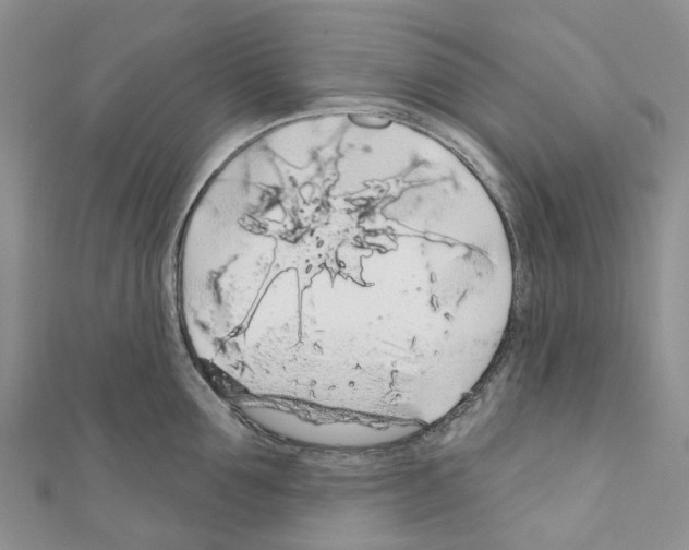 X0000110700907200907241122