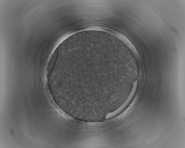 X0000110700908200907241122
