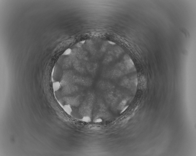 X0000110700913200907241122
