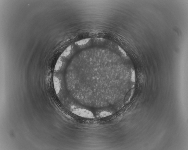 X0000110700914200907241122