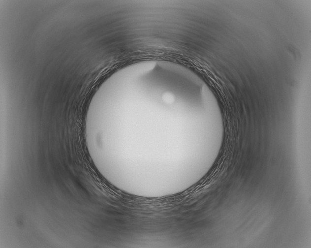 X0000110700916200907241122