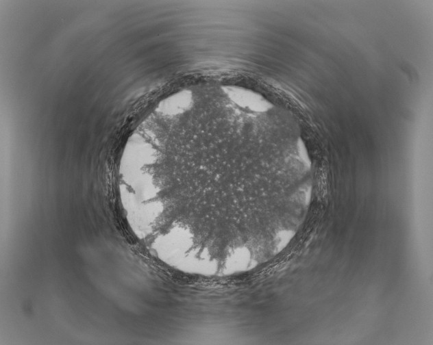 X0000110700917200907241122