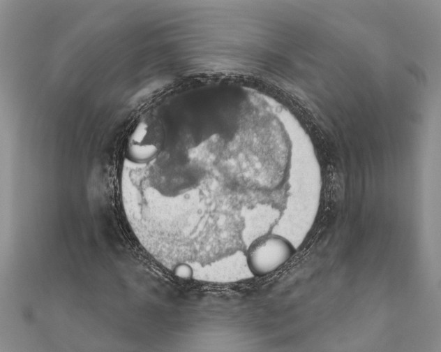 X0000110700918200907241122