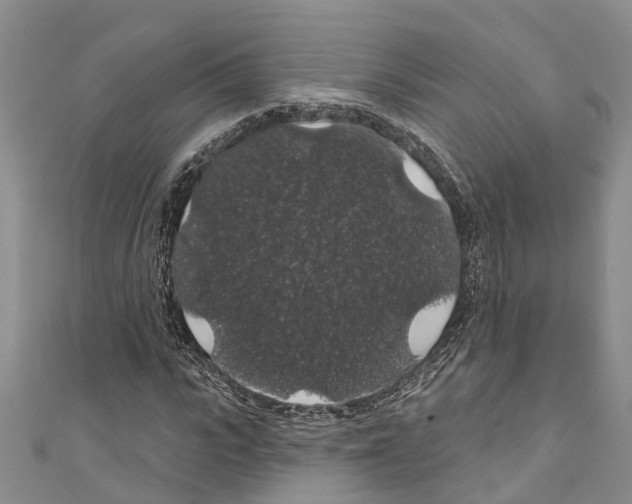 X0000110700919200907241122