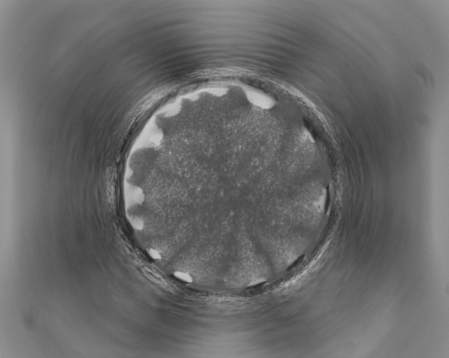 X0000110700921200907241122
