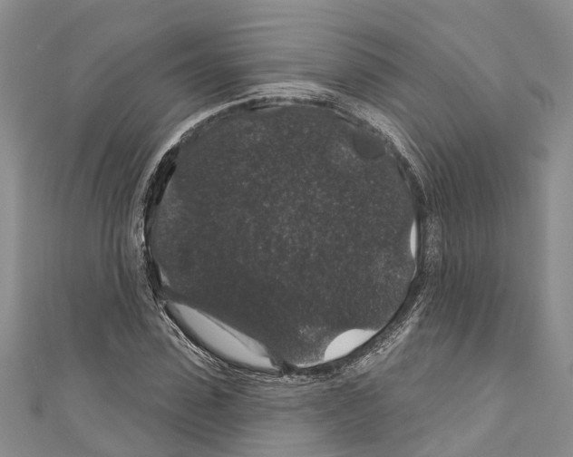 X0000110700923200907241122