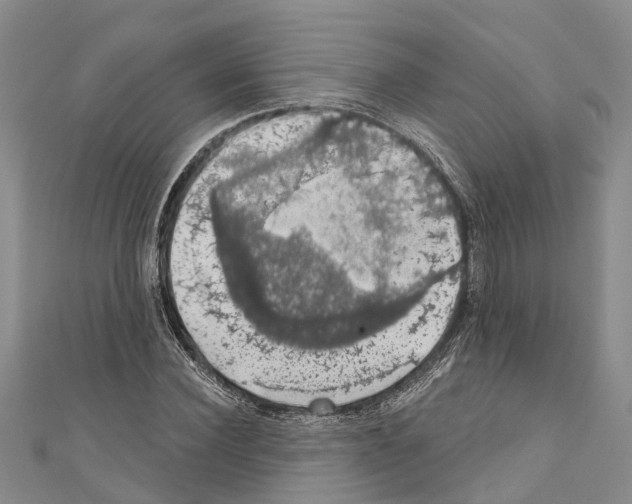 X0000110700924200907241122