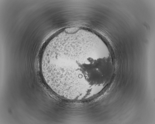 X0000110700925200907241122