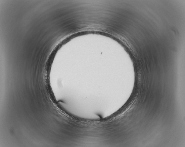 X0000110700926200907241122