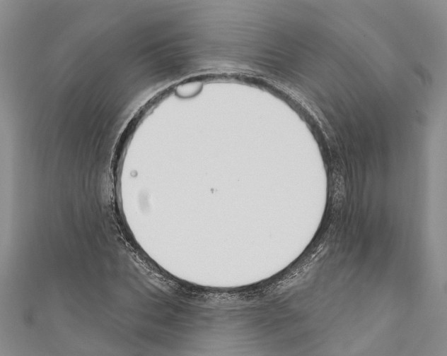 X0000110700927200907241122