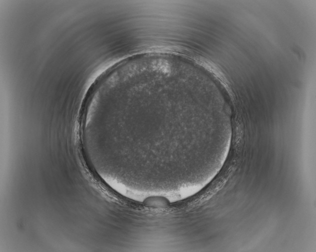 X0000110700928200907241122