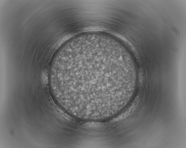 X0000110700929200907241122