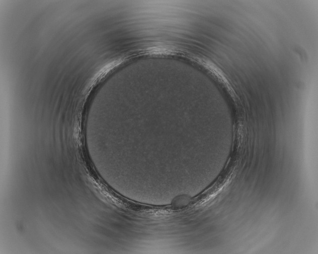 X0000110700930200907241122