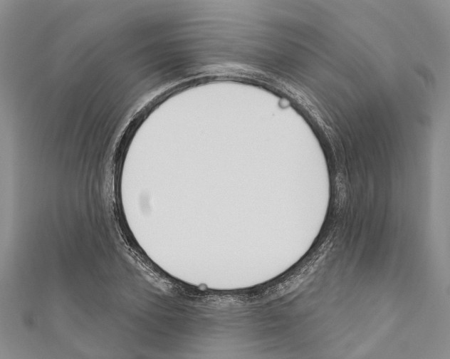 X0000110700931200907241122