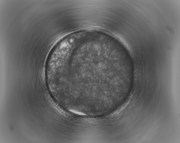 X0000110700932200907241122