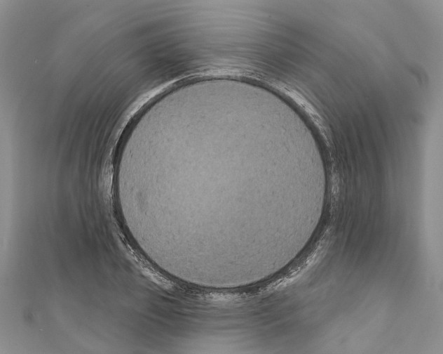 X0000110700933200907241122