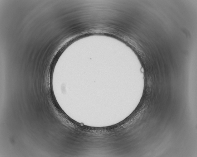 X0000110700934200907241122