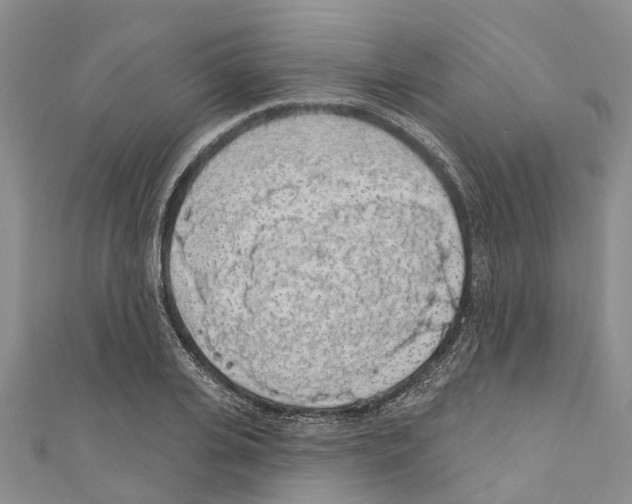 X0000110700935200907241122