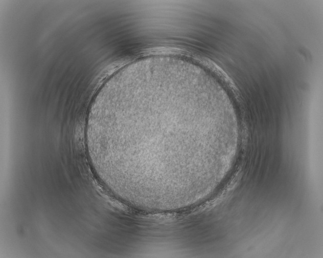X0000110700937200907241122