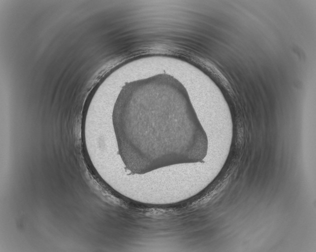 X0000110700938200907241122