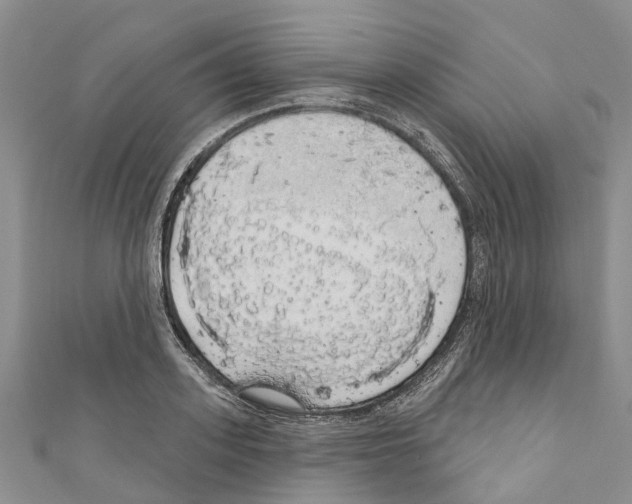 X0000110700939200907241122