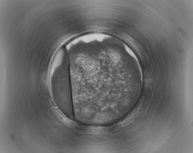 X0000110700940200907241122