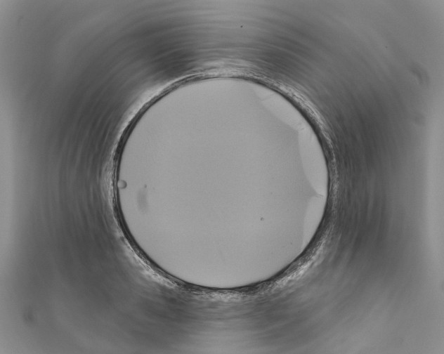 X0000110700941200907241122