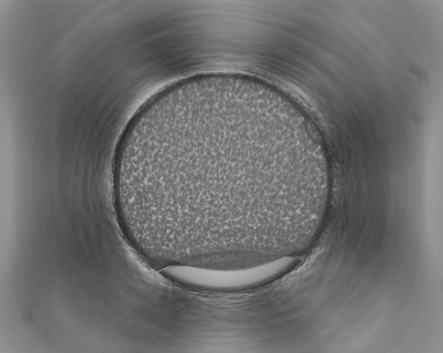 X0000110700942200907241122