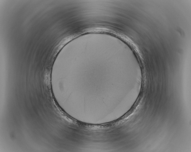 X0000110700945200907241122
