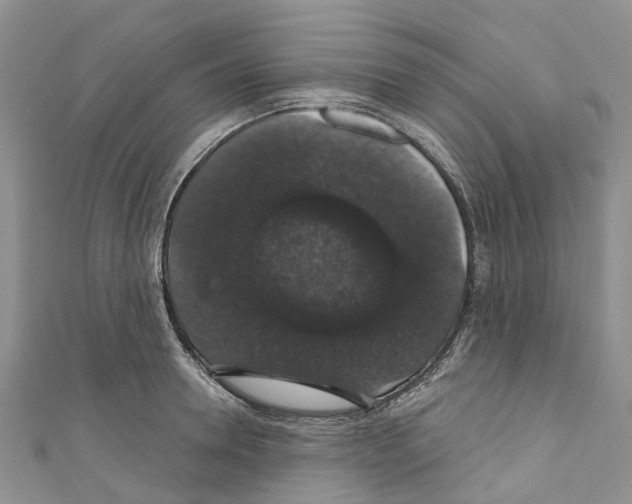 X0000110700946200907241122
