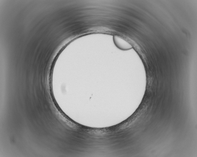 X0000110700947200907241122