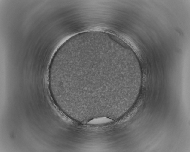 X0000110700948200907241122
