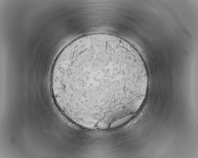 X0000110700949200907241122