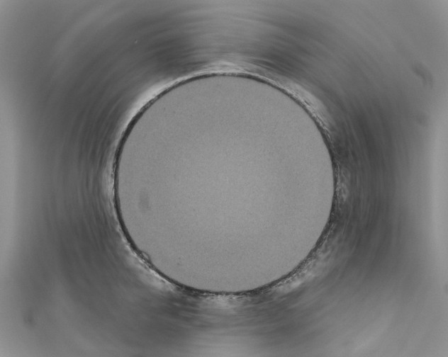 X0000110700950200907241122
