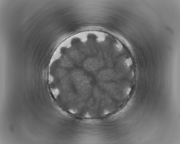 X0000110700953200907241122
