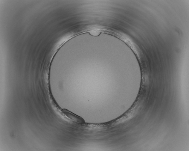 X0000110700954200907241122