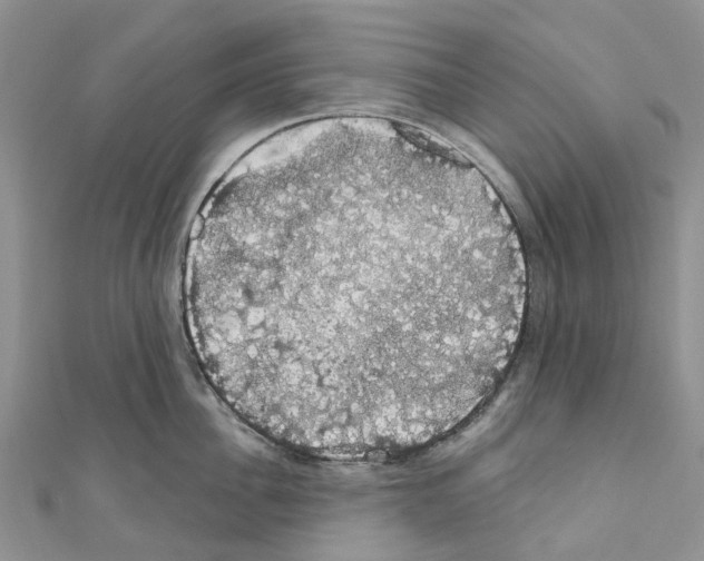 X0000110700956200907241122