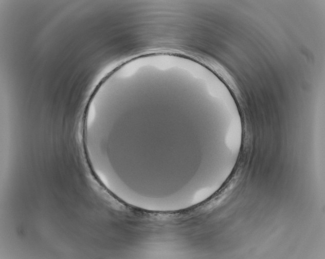 X0000110700958200907241122