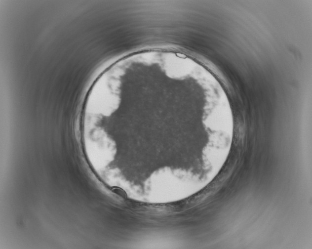 X0000110700959200907241122