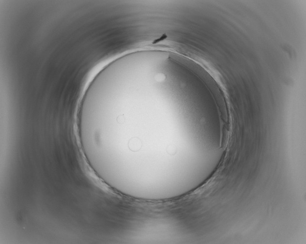 X0000110700960200907241122