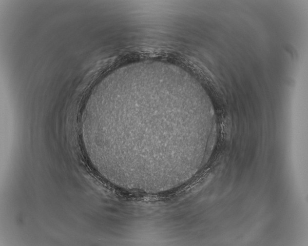 X0000110700961200907241122