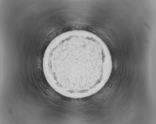 X0000110700964200907241121