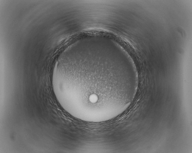 X0000110700965200907241121
