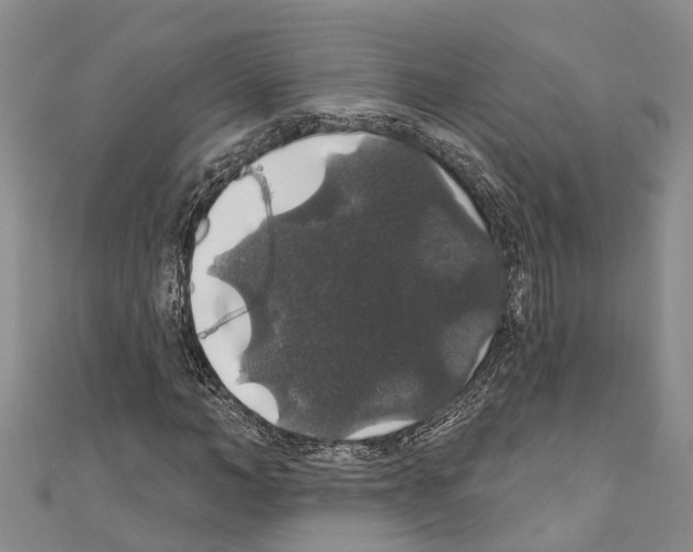 X0000110700966200907241121