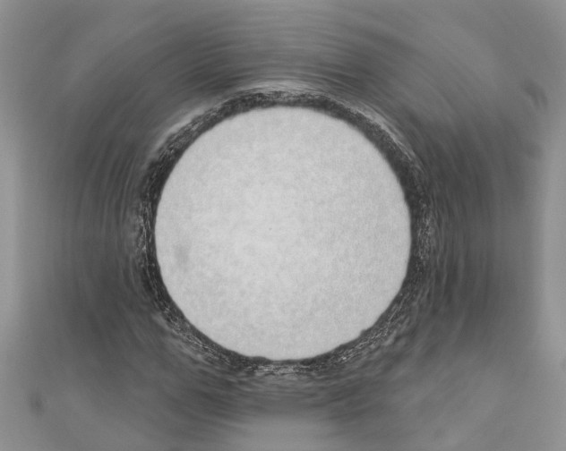 X0000110700967200907241121