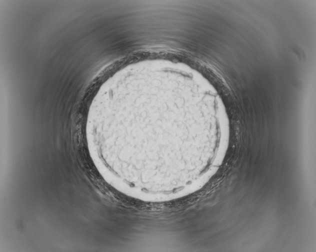 X0000110700968200907241121