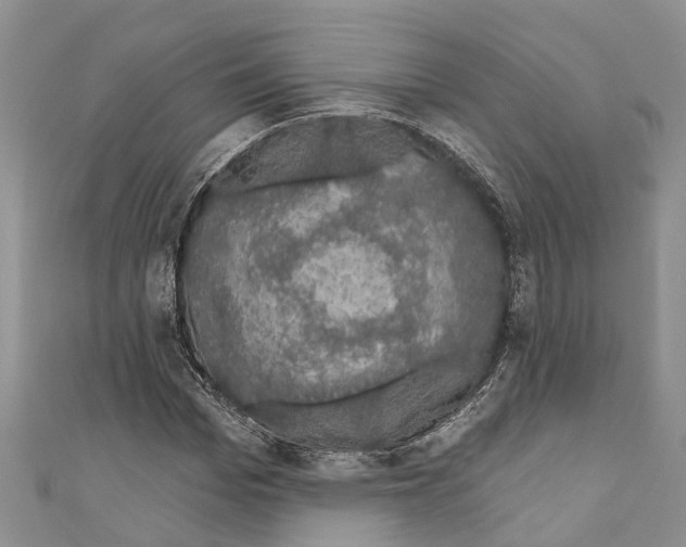 X0000110700969200907241121